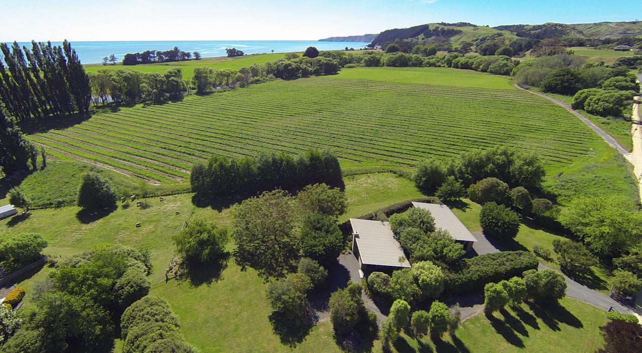 Te Awanga Cottages Экстерьер фото